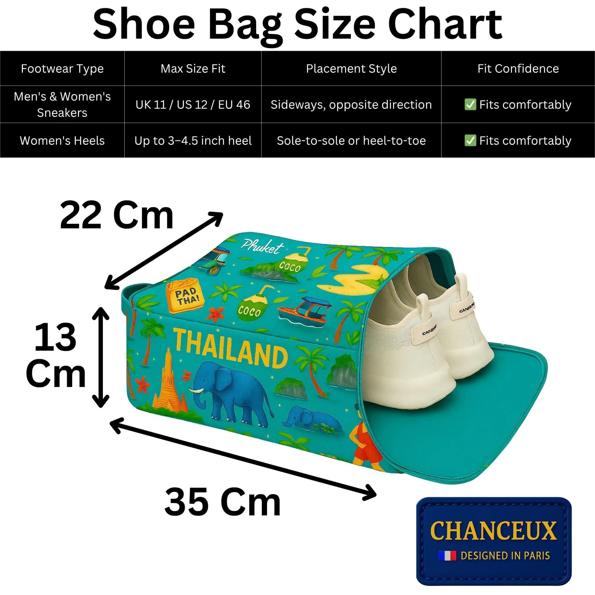 Shoe Bag