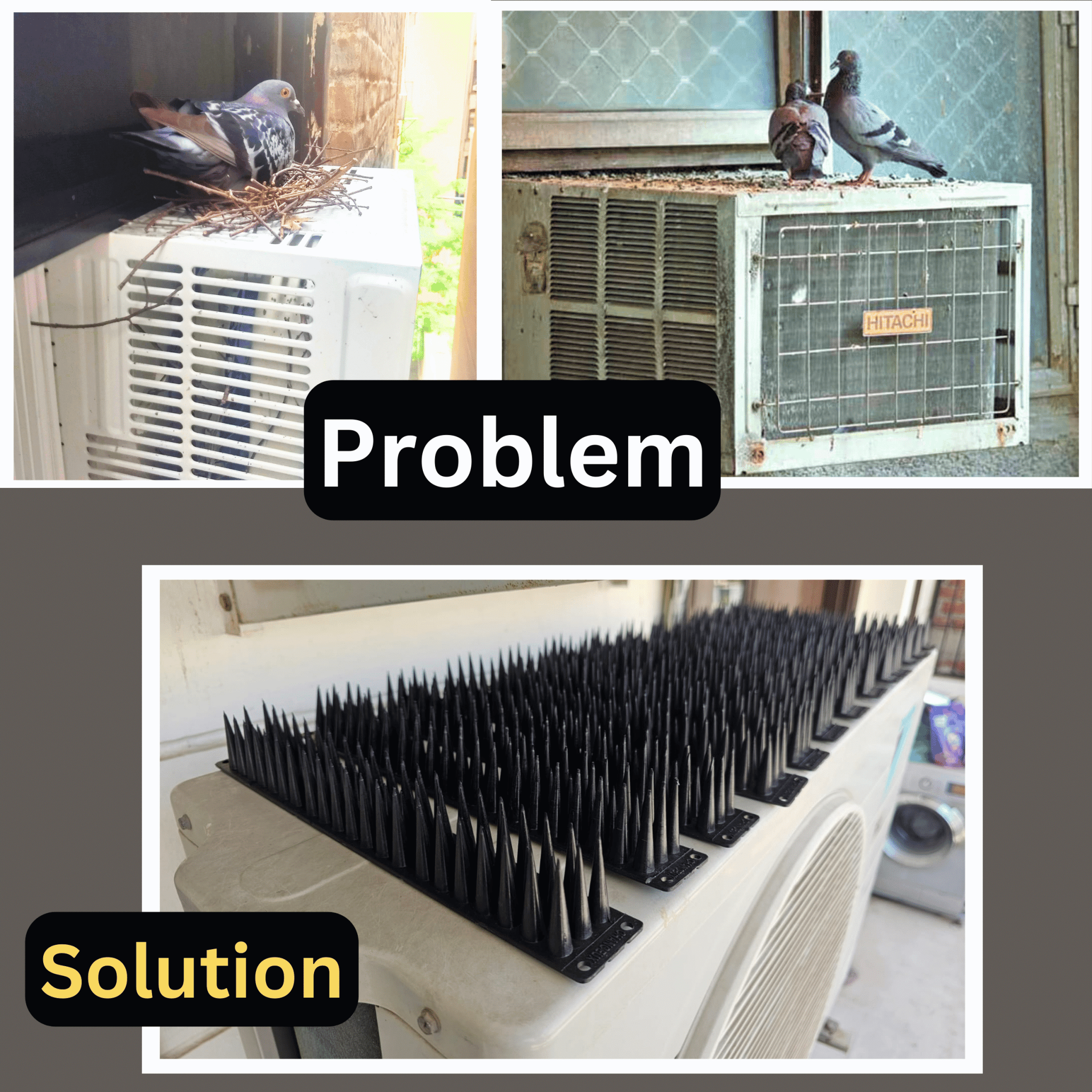 Anti Bird Spikes