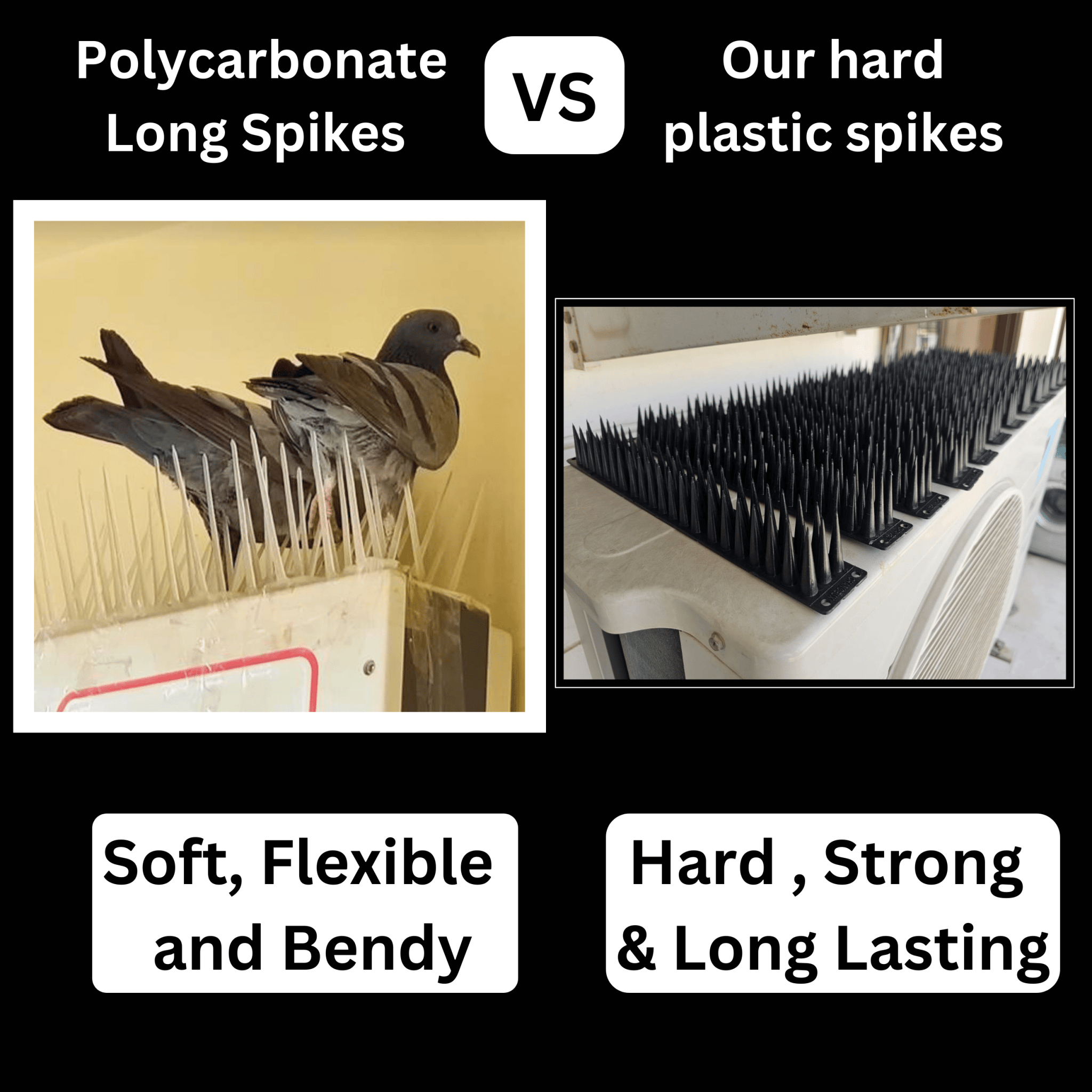 Anti Bird Spikes