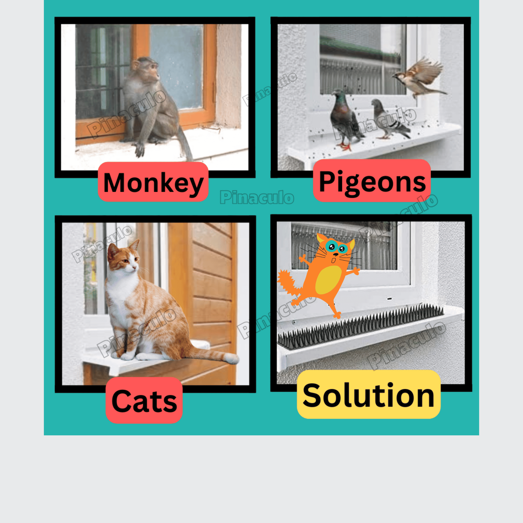 Anti Bird Spikes