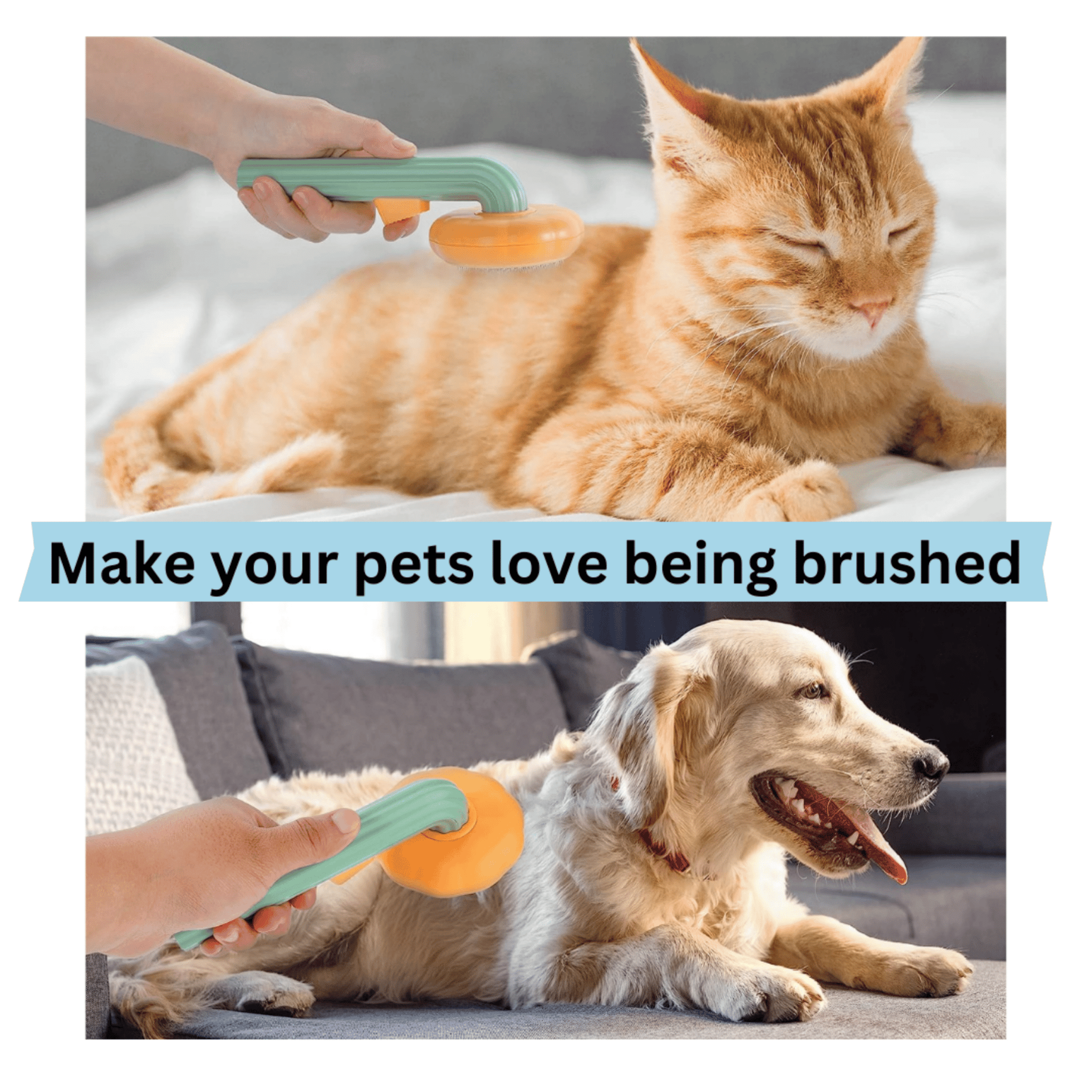 Pet Brush