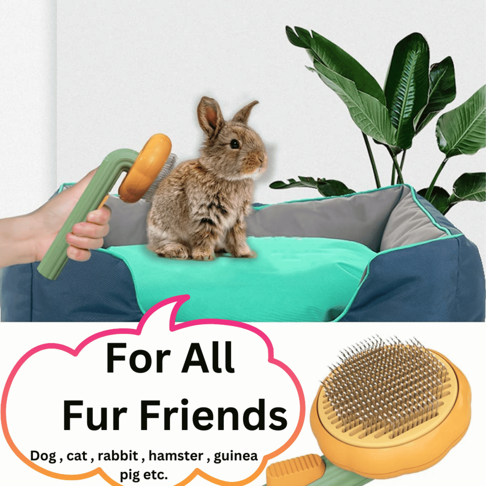 Pet Brush