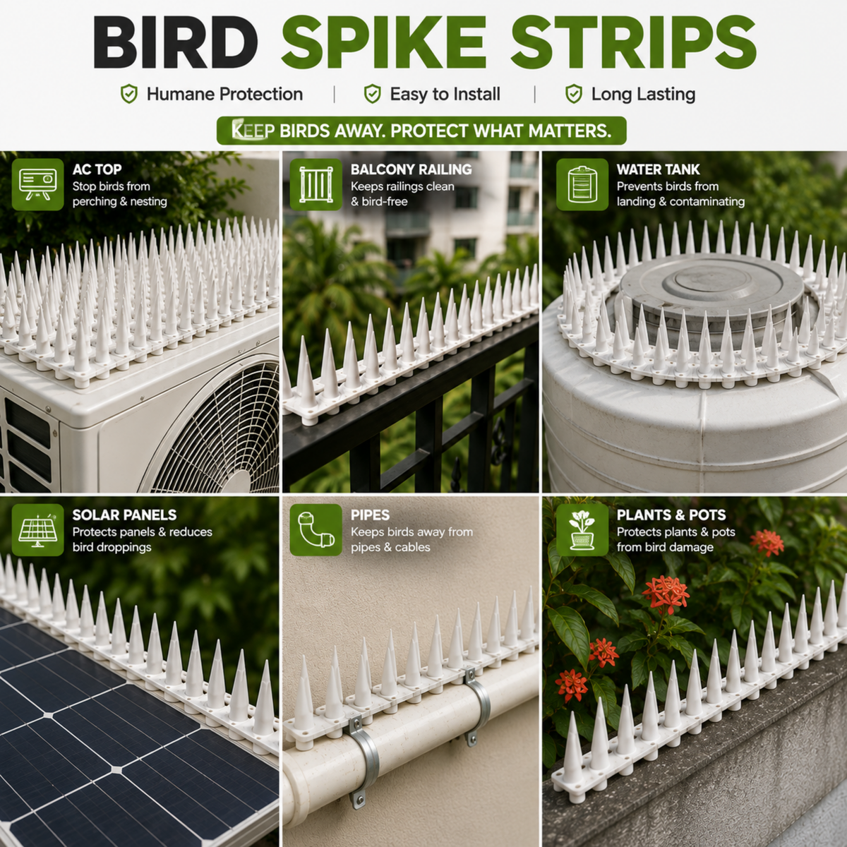 Anti Bird Spikes
